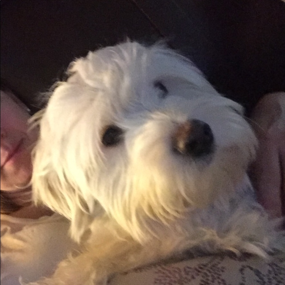 Meet your Posher, Tanya